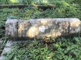 image of grave number 919695